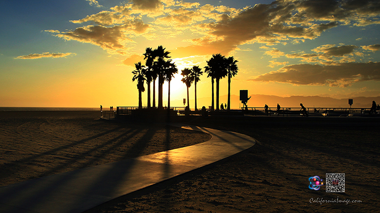 California Image Venice Beach Sunset
