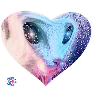 Cat Alien #2