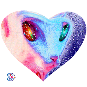 Cat Alien #4