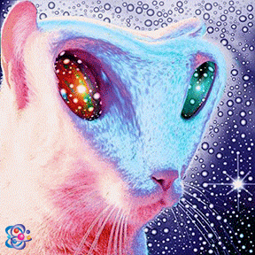 Cat Alien