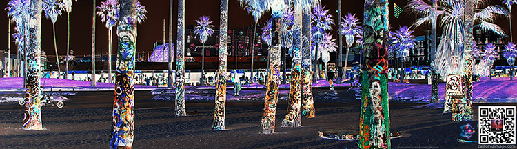 Graffiti Palms