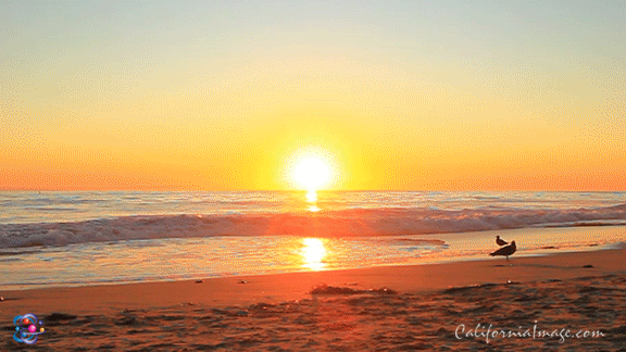 Ocean Beach Sunset